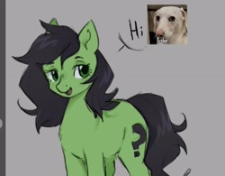 Size: 3568x2788 | Tagged: safe, artist:g4bby, oc, oc:filly anon, dog, earth pony, female, filly, foal, gray background, implied slur, imported from derpibooru, looking at you, pony, simple background, solo, speech bubble, text, wip