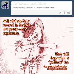 Size: 792x792 | Tagged: suggestive, artist:jaxonian, apple bloom, ask, ask fapplebloom, belly button, blushing, breezie, earth pony, female, filly, foal, foalcon, g4, imported from derpibooru, it ain't easy being breezies, my little pony: friendship is magic, pony, size difference, tumblr