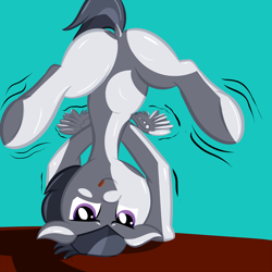 Size: 1280x1280 | Tagged: safe, artist:cosmonaut, balancing, butt, colt, concentrating, dock, emanata, foal, foalcon, g4, handstand, headstand, imported from derpibooru, lets ask rumble, male, pegasus, plot, pony, rumble, shadow, shaking, solo, tail, upside down