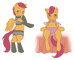 Size: 1000x817 | Tagged: suggestive, artist:crookedtrees, scootaloo, clothes, female, filly, foal, foalcon, g4, imported from derpibooru, lingerie, panties, pegasus, pony, shorts, simple background, socks, solo, solo female, source needed, underwear