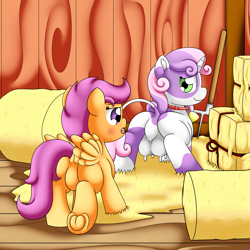 Size: 3000x3000 | Tagged: suggestive, artist:pvryohei, scootaloo, sweetie belle, barn, bell, bell collar, blushing, butt, calf, clopfic in description, collar, commission, cow, cow pony, cowbell, cowbelle, cowified, dock, duo, duo female, featureless crotch, female, filly, foal, foalcon, frog (hoof), g4, hay, hay bale, high res, imported from derpibooru, part of a set, pegasus, pitchfork, plot, pony, scootabutt, species swap, story included, sweetie butt, tail, udder, underhoof, unicorn, unicow