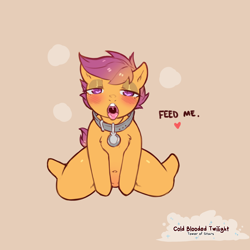 Size: 1200x1200 | Tagged: suggestive, artist:cold-blooded-twilight, scootaloo, arm hooves, bedroom eyes, belly button, blushing, chest fluff, collar, dialogue, eyeshadow, featureless crotch, female, foalcon, g4, heart, imported from derpibooru, kneeling, looking at you, looking up, looking up at you, makeup, name tag, open mouth, panting, pegasus, pet tag, semi-anthro, simple background, slave, slave collar, solo, solo female, spread legs, spreading, tongue out, wide hips