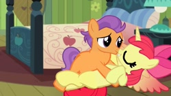 Size: 1920x1080 | Tagged: safe, artist:angrymetal, apple bloom, alicorn, alicornified, bloomicorn, boop, colt, colt on filly, earth pony, eyes closed, female, filly, foal, foalcon, g4, imported from derpibooru, male, missionary position, noseboop, pony, race swap, sex, ship:tenderbloom, shipping, straight, tender taps