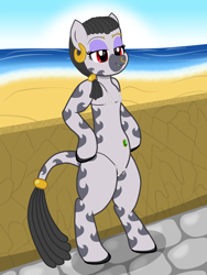 Size: 3000x4000 | Tagged: suggestive, artist:theonewithoutaname, oc, oc:desta, alternate clothes, alternate version, arm hooves, beach, belly button, belly piercing, bellyring, bikini, bikini bottom, bikini top, bipedal, breasts, chestbreasts, clothes, colored hooves, delicious flat chest, ear piercing, earring, eyebrow piercing, female, filly, foal, foalcon, imported from derpibooru, jewelry, multiple variants, nose piercing, nose ring, oc only, ocean, panties, pearl, piercing, red eyes, semi-anthro, skimpy outfit, solo, solo female, summer, swimsuit, tail, tail wrap, thong, thong swimsuit, underwear, zebra, zebra oc