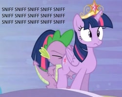 Size: 729x583 | Tagged: suggestive, spike, twilight sparkle, alicorn, butt sniffing, caption, dragon, edit, faceful of ass, female, foalcon, g4, imported from derpibooru, male, pony, screencap, smell, sniffing, spike running into twilight's rear, straight, text
