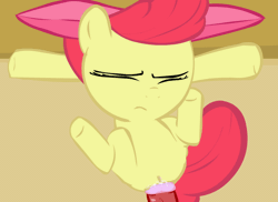 Size: 660x480 | Tagged: explicit, artist:swfpony, apple bloom, anal, animated, apple bloom's bow, bow, eyes closed, foal, foalcon, g4, genitals, gif, hair bow, imported from derpibooru, nudity, penetration, penis, pony, sex, source needed, tight pussy, too big, vein, veiny cock, vulva