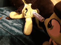 Size: 640x480 | Tagged: questionable, oc, oc:filly anon, animated, cloaca, female, filly, foal, foalcon, genital slit, genitals, imported from derpibooru, irl, oc only, photo, plushie