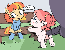 Size: 590x454 | Tagged: explicit, artist:myra, oc, oc:aimless, oc:holly harp, ..., age difference, ahegao, anal, anatomically correct, anus, balls, bench, blushing, butt, clothes, dark genitals, earth pony, exhibitionism, eyelashes, female, filly, foal, foalcon, futa, futa filly, futa oc, genitals, horsecock, imported from derpibooru, intersex, legwear, male, male on futa, medial ring, nudity, oc only, open mouth, outdoor sex, outdoors, penetration, penis, ponut, pony, public sex, sex, size difference, speechless, stallion, stallion on futa, stallion on futa filly, stockings, sweat, sweatdrop, thigh highs, tongue out, trans female, transgender, transgender oc, trio, vulva