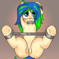 Size: 3000x3000 | Tagged: explicit, artist:19itsme87, oc, oc:ravebounce, arm behind head, armpits, bdsm, belly, belly button, blushing, bondage, clitoris, commission, earth pony, female, foal, foalcon, full body, gag, genitals, imported from derpibooru, looking at you, mare, nudity, oc only, pony, solo, solo female, spread legs, spreader bar, spreading, tape, tape gag, tied up, vulva, ych result