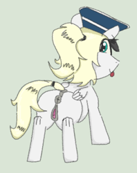 Size: 350x443 | Tagged: explicit, artist:penrose-magpie, oc, oc:luftkrieg, anus, clitoris, crusher hat, female, filly, foal, foalcon, genitals, imported from derpibooru, looking at you, looking back, looking back at you, looking over shoulder, nudity, oc only, offscreen character, pegasus, ponut, pony, ponytail, solo, sticking out tonuge, tongue out, vulva, vulvar winking