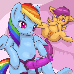 Size: 1200x1200 | Tagged: explicit, artist:maverick, rainbow dash, scootaloo, age difference, anatomically correct, anus, blushing, dildo, dubious consent, eyebrows, female, filly, foal, foalcon, g4, genitals, horsecock dildo, imported from derpibooru, larger female, lesbian, looking at someone, mare, mare on filly, multicolored hair, nudity, older female, pegasus, ponut, pony, pony on pony action, rainbow hair, sequence, sex toy, ship:scootadash, shipping, size difference, smaller female, strapon, vulva, wings, younger female