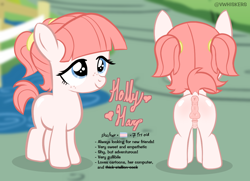 Size: 1173x850 | Tagged: explicit, artist:vwhiskers, oc, oc:holly harp, anus, balls, earth pony, female, filly, foal, foalcon, freckles, g4, genitals, horsecock, imported from derpibooru, nudity, oc only, penis, ponut, pony, rear view, reference sheet, show accurate, show accurate porn, small penis, solo, tail, trans female, transgender, transgender oc