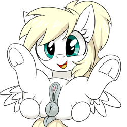 Size: 2000x2000 | Tagged: explicit, artist:hotwater, oc, oc:luftkrieg, anatomically correct, anus, butt, clitoris, female, filly, foal, foalcon, hooves, imported from derpibooru, looking at you, nudity, oc only, pegasus, pegasus oc, ponut, pony, presenting, presenting pussy, simple background, smiling, smiling at you, solo, solo female, spread butt, spread legs, spread wings, spreading, vulva, white background, wingboner, wings