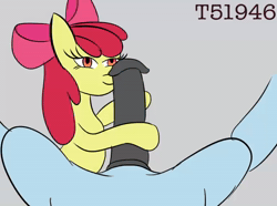 Size: 768x576 | Tagged: explicit, artist:t51946, apple bloom, age difference, animated, blowjob, earth pony, female, filly, filly on stallion, foal, foalcon, g4, genitals, imported from derpibooru, male, no sound, nudity, oral, orange eyes, penis, pony, red hair, ribbon, sex, stallion, straight, webm