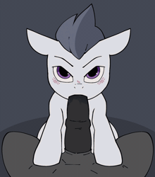 Size: 1635x1855 | Tagged: explicit, artist:djhilux, age difference, animated, blowjob, blushing, colt, colt on stallion, dark genitals, deepthroat, duo, duo male, erection, foal, foalcon, g4, gay, genitals, gray background, horsecock, imported from derpibooru, looking at you, male, male pov, medial ring, nudity, offscreen character, offscreen male, oral, pegasus, penis, pony, pov, rumble, sex, simple background, stallion