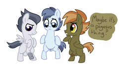 Size: 1600x900 | Tagged: explicit, artist:vodkamewtwoni, button mash, balls, bipedal, blank flank, colt, earth pony, foal, foalcon, g4, genitals, imported from derpibooru, looking down, male, nudity, pegasus, penis, penis size comparison, pony, rumble, shady daze, simple background, small penis, speech, speech bubble, spread wings, talking, transparent background, trio, trio male, wings