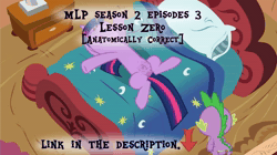 Size: 1920x1080 | Tagged: explicit, artist:fluttershyfann80085, artist:mlpfimguy, applejack, fluttershy, pinkie pie, princess celestia, rainbow dash, rarity, spike, twilight sparkle, alicorn, anatomically correct, anatomically correct edit, animated, anus, applebutt, butt, casual nudity, crotchboobs, earth pony, edit, edited screencap, female, filly, flutterbutt, foal, foalcon, folded wings, g4, genitals, horn, i watch it for the plot, imported from derpibooru, lesson zero, mane seven, mane six, mare, my little pony: friendship is magic, nipples, no shame, nude edit, nudity, outdoors, pegasus, plot, plot rest, ponut, pony, ppp-pp, rainbutt dash, rearity, screencap, sound, twibutt, uncensored, unicorn, vector, vulva, webm, wings
