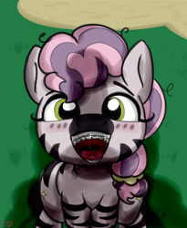 Size: 3600x4400 | Tagged: explicit, artist:littlenaughtypony, blushing, braces, female, filly, foal, foalcon, g5, imminent facial, implied male, imported from derpibooru, looking at you, male, offscreen character, offscreen male, open mouth, outdoors, phallic shadow, shadow, skye, zebra