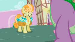 Size: 1920x1080 | Tagged: explicit, spike, age difference, animated, barbed penis, basket, dragon, dragon dick, duo, duo male and female, earth pony, edit, edited screencap, female, flower, flower basket, foalcon, g4, gif, head shake, humping, imported from derpibooru, junebug, male, mare, my little pony: friendship is magic, nudity, outdoors, penis, pony, ponyville, screencap, season 2, secret of my excess, ship:junespike, shipping, spike want, straight, wingless spike