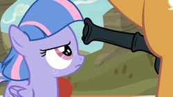Size: 1920x1080 | Tagged: explicit, age difference, bipedal, common ground, duo, duo male and female, earth pony, edit, edited screencap, female, filly, foal, foalcon, g4, genitals, horsecock, imminent oral, imminent sex, imported from derpibooru, male, medial ring, my little pony: friendship is magic, nudity, oral request, outdoors, pegasus, penis, pony, quibble pants, quibblesprint, screencap, season 9, semi-incest, sex request, shipping, stallion, stallion on filly, stepfather and daughter, straight, wind sprint