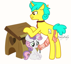 Size: 1448x1299 | Tagged: explicit, artist:alleymutt, artist:follyfilly, sweetie belle, oc, oc:lesson loom, age difference, anus, balls, blushing, canon x oc, clothes, cum, desk, dripping, dripping cum, female, filly, foal, foalcon, g4, genitals, horn, horsecock, imported from derpibooru, lanky, male, necktie, nudity, on hind legs, oral invitation, penis, pony, precum, school desk, shipping, show accurate, show accurate porn, sitting, skinny, stallion, stallion on filly, straight, student, tall, teacher, teacher and student, thin, unicorn