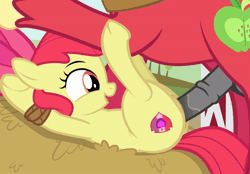 Size: 1032x720 | Tagged: explicit, artist:spectre-z, apple bloom, age difference, animated, applecest, barn, barn sex, big macintosh, big macintosh's yoke, blinking, bondage, brother and sister, clitoris, earth pony, faceless male, female, filly, foal, foalcon, g4, glazed dick, grin, happy sex, hay, horse collar, horsecock, imported from derpibooru, incest, legs in air, male, missionary position, no sound, nudity, offscreen character, on back, open mouth, penetration, penis, pony, roll in the hay, rope, rope bondage, sex, ship:macbloom, shipping, show accurate, show accurate porn, siblings, size difference, smiling, stallion, stallion on filly, straight, sweet apple acres, underhoof, vaginal, vaginal secretions, vulva, webm