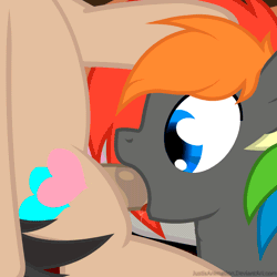Size: 1000x1000 | Tagged: explicit, artist:justisanimation, oc, oc:double heart, oc:krylone, age difference, animated, blowjob, blue eyes, colt, colt on stallion, deepthroat, flash, foal, foalcon, gay, gif, imported from derpibooru, leg twitch, male, nudity, oc only, oc x oc, oral, pegasus, penis, pony, present, rainbow hair, sex, shipping, stallion, sucking, throat bulge, vector