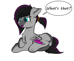 Size: 937x777 | Tagged: explicit, artist:scarrly, oc, oc:scarrly, anus, bat pony, casual nudity, dialogue, female, filly, fluffy, foal, foalcon, imported from derpibooru, nudity, oc only, offscreen character, ponut, pony, ponytail, simple background, slit, solo, solo female, speech bubble, transparent background, underhoof, vulva