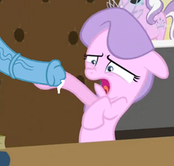 Size: 334x318 | Tagged: explicit, editor:blue-dick-edits, diamond tiara, age difference, desk, disgusted, disturbed, earth pony, edit, edited screencap, eyes on the prize, female, female focus, filly, foal, foalcon, frown, g4, hoofjob, horsecock, imported from derpibooru, male, medial ring, my little pony: friendship is magic, nudity, offscreen character, open mouth, penis, pony, ponyville confidential, precum, reacting to nudity, screencap, shrunken pupils, solo focus, stallion, stallion on filly, straight