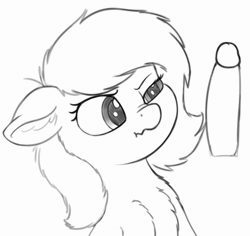 Size: 560x528 | Tagged: explicit, artist:smoldix, oc, oc:filly anon, animated, annoyed, boop, chest fluff, cockslap, cute, cute porn, derpibooru exclusive, dickboop, disembodied penis, earth pony, female, filly, foal, foalcon, frame by frame, frown, g4, genitals, gif, grayscale, human penis, imported from derpibooru, interspecies, monochrome, nose wrinkle, nudity, oc only, penis, pony, scrunchy face