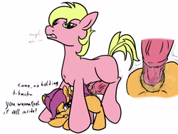 Size: 6000x4500 | Tagged: explicit, artist:littlenaughtypony, scootaloo, oc, oc:dragonlover69, absurd resolution, canon x oc, female, foalcon, g4, horsecock, imported from derpibooru, male, nudity, penetration, penis, pony, scoover, sex, stallion, straight, vaginal, vaginal secretions, vulva