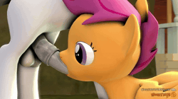 Size: 1280x720 | Tagged: explicit, artist:certedia, artist:woozybits, scootaloo, 3d, abdominal bulge, animated, balls, bedroom eyes, blowjob, cheerilee, colt, colt on filly, doggy style, earth pony, exhibitionism, female, filly, flapping, foal, foalcon, from behind, g4, horsecock, imported from derpibooru, male, no sound, nudity, open mouth, oral, outdoor sex, outdoors, patreon, patreon logo, pegasus, penetration, penis, pony, public, public sex, rumble, sex, ship:rumbloo, shipping, smiling, source filmmaker, spread wings, stealth sex, straight, thrill of almost being caught, vaginal, webm, wingboner, wings