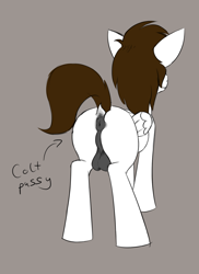 Size: 1256x1723 | Tagged: explicit, artist:sliderspoint, oc, oc:arcanel, anus, backsack, balls, butt, colt, colt pussy, dark genitals, dock, foal, foalcon, imported from derpibooru, male, nudity, oc only, oxymoron, plot, ponut, pony, raised tail, solo, solo male, spankable coin purse, taint
