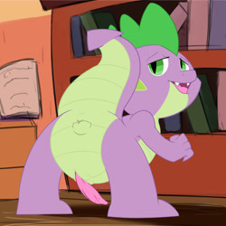 Size: 1500x1500 | Tagged: explicit, artist:jerseydevil, spike, anus, book, bookshelf, dragon, erection, foalcon, g4, imported from derpibooru, looking back, male, nudity, penis, solo, solo male