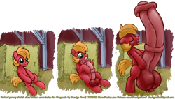 Size: 1499x849 | Tagged: explicit, artist:smudge proof, 3 panel comic, balls, big balls, big dickentosh, big macintosh, big penis, comic, earth pony, foalcon, g4, growth, horsecock, hyper, hyper penis, imported from derpibooru, impossibly large balls, impossibly large penis, male, nudity, penis, penis expansion, pony, simple background, sketch, small penis, solo, solo male, transparent background, wat