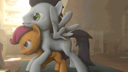 Size: 672x378 | Tagged: explicit, artist:php106, scootaloo, 3d, animated, balls, bedroom, doggy style, female, filly, foal, foalcon, from behind, g4, genitals, gif, imported from derpibooru, male, mounting, nudity, old cutie mark, pegasus, penetration, penis, pony, sex, ship:soarinloo, slow sex, soarin', source filmmaker, stallion, stallion on filly, straight, vaginal