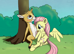 Size: 1050x768 | Tagged: explicit, artist:el-yeguero, fluttershy, anatomically correct, anus, blushing, bramble, butt, clitoris, deer, deerlike penis, fawn, female, foalcon, g4, imported from derpibooru, interspecies, licking, licking cock, male, mare, nudity, oral, pegasus, penis, plot, pony, straight, tongue out, vulva, vulvar winking