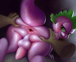 Size: 1500x1221 | Tagged: explicit, artist:ikiki, spike, 2 handfuls of dat ass, all fours, anus, ass, balls, bedroom eyes, blushing, butt, disembodied hand, dragon, dragonbutt, foalcon, g4, girly, hand, imported from derpibooru, kneeling, looking at you, looking back, looking back at you, male, male focus, nudity, penis, solo focus, spread anus, spreading, tongue out