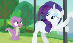 Size: 3467x2046 | Tagged: explicit, artist:superporygon, rarity, spike, cum, cumming, dragon, female, foalcon, g4, high res, imported from derpibooru, looking back, male, masturbation, nudity, penis, presenting, raised tail, seductive, ship:sparity, shipping, show accurate, show accurate porn, straight, sweat, tail, tongue out