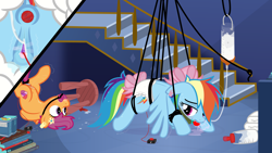 Size: 7679x4320 | Tagged: explicit, artist:gollygosh, rainbow dash, scootaloo, 8k, absurd resolution, anal insertion, anal-vaginal orgasm, anatomically correct, anus, artificial insemination, ballgag, basement, bedroom eyes, belly button, blushing, bondage, book, bookshelf, bottle, breath, buttplug, clitoris, creampie, crotchboobs, cum, cum enema, cumming in diaper, cumtube, derpibooru exclusive, diaper, diaper bondage, diaper dash, diaper fetish, dildo, dock, drool, duo, duo female, ear tag, enema, female, femsub, fetish, filly, floppy ears, flower, foal, foalcon, g4, gag, gala ticket, hands free, heart clitoris, implied twilight sparkle, imported from derpibooru, insertion, mare, nipples, non-baby in diaper, nondescript nipples, not milk, nudity, orgasm, pacifier, pacifier gag, pony, prolonged stimulation, rainbond dash, ribbon, rope, rope bondage, sex toy, show accurate, show accurate porn, spread wings, squirting, stairs, stool, submissive, suspended, tape, teats, tied, tied up, tongue out, twilight is a foal fiddler, upside down, vaginal secretions, vector, vibrator, vulva, vulvar winking, watching, wide eyes, wings