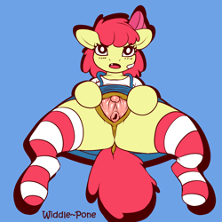 Size: 2000x2000 | Tagged: explicit, artist:widdle~pone, apple bloom, anatomically correct, anus, band-aid, blue background, butt, clitoris, clothes, dark genitals, earth pony, female, foalcon, g4, high res, imported from derpibooru, legwear, nudity, presenting, semi-anthro, shirt, simple background, socks, solo, solo female, spread legs, spread pussy, spreading, stockings, striped socks, thigh highs, urethra, vagina, vulva