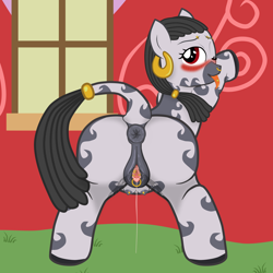 Size: 4000x4000 | Tagged: explicit, artist:theonewithoutaname, oc, oc:desta, anatomically correct, anus, blushing, blushing profusely, butt, clitoris, crotchboobs, dock, earring, eyebrow piercing, female, filly, foal, foalcon, gaping, gaping vagina, genital piercing, imported from derpibooru, jewelry, nipple piercing, nipples, nose piercing, nose ring, nudity, oc only, piercing, plot, ponyville schoolhouse, presenting, raised tail, red eyes, school, solo, solo female, spread legs, spreading, tail, teat piercing, teats, tongue out, tongue piercing, vagina, vaginal piercing, vaginal secretions, vaginal secretions trail, vulva, vulvar winking, zebra, zebra oc
