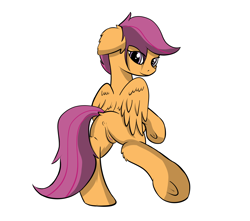 Size: 3800x3364 | Tagged: explicit, artist:scarrly, scootaloo, anus, butt, dock, female, foalcon, g4, high res, imported from derpibooru, looking at you, looking back, nudity, plot, ponut, scootabutt, simple background, solo, solo female, underhoof, vulva