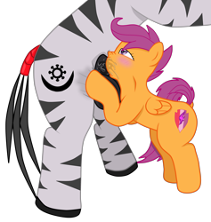 Size: 3553x3750 | Tagged: explicit, artist:theonewithoutaname, scootaloo, oc, oc:abioye, balls, blowjob, blushing, canon x oc, crotch bulge, deepthroat, dock, drool, facefuck, female, filly, foal, foalcon, g4, high res, imported from derpibooru, interspecies, male, nudity, oral, pegasus, penis, pony, precum, raised tail, sex, shipping, stallion, stallion on filly, straight, tail, throat bulge, zebra