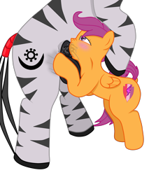 Size: 3300x3868 | Tagged: explicit, artist:theonewithoutaname, scootaloo, oc, oc:abioye, balls, blowjob, blushing, canon x oc, crotch bulge, deepthroat, dock, drool, facefuck, female, filly, foal, foalcon, g4, high res, imported from derpibooru, interspecies, male, nudity, oral, pegasus, penis, pony, precum, raised tail, sex, shipping, stallion, stallion on filly, straight, tail, throat bulge, zebra
