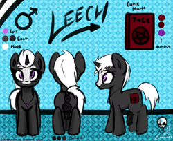 Size: 2448x2000 | Tagged: explicit, artist:aer0 zer0, oc, oc:s.leech, anus, bald face, balls, big balls, big penis, blaze (coat marking), coat markings, colt, commission, cutie mark, facial markings, femboy, flaccid, foal, foalcon, high res, horsecock, imported from derpibooru, male, medial ring, nudity, oc only, penis, ponut, pony, reasonably sized genitals, reference sheet, solo, solo male, stallion