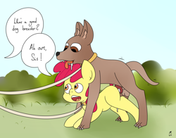 Size: 2142x1681 | Tagged: explicit, artist:mackstack, apple bloom, applejack, balls, bestiality, blank flank, canine penis, cum, dog, dog on filly action, earth pony, female, femsub, foalcon, g4, happy, happy sex, imported from derpibooru, interspecies, knot, male, nudity, offscreen character, park, penetration, penis, pony, sex, speech bubble, straight, submissive, vaginal