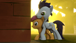 Size: 800x450 | Tagged: explicit, artist:php106, scootaloo, 3d, all fours, ambiguous penetration, animated, balls, blinking, cutie mark, doggy style, exhibitionism, eye, eyelashes, female, filly, foal, foalcon, from behind, g4, gif, grin, horsecock, imported from derpibooru, male, nudity, old cutie mark, open mouth, pegasus, penetration, penis, pony, public sex, scootalove, sex, ship:soarinloo, smiling, soarin', source filmmaker, stallion, stallion on filly, straight, tree, wings