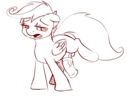 Size: 909x706 | Tagged: explicit, artist:crade, scootaloo, balls, big penis, fifth leg, foalcon, futa, futa scootaloo, g4, imported from derpibooru, impossibly large penis, intersex, nudity, penis, pony, raised leg, sketch, solo, solo futa