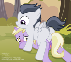 Size: 2247x1946 | Tagged: explicit, artist:shutterflyeqd, anal, anal creampie, anatomically correct, blushing, butt, clitoris, colt, colt on filly, commission, creampie, cum, cute, cute porn, dark genitals, dinky hooves, dripping, female, filly, foal, foalcon, from behind, g4, happy sex, imported from derpibooru, male, nudity, pegasus, penetration, penis, plot, pony, pony on pony action, reverse foalcon, rumble, rumbledink, sex, shipping, show accurate, show accurate porn, signature, spreading, straight, unicorn, vagina, vaginal secretions, vector, vulva, vulvar winking, wet